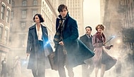 'Fantastic Beasts and Where to Find Them' Filminden Son Fragman Yayınlandı