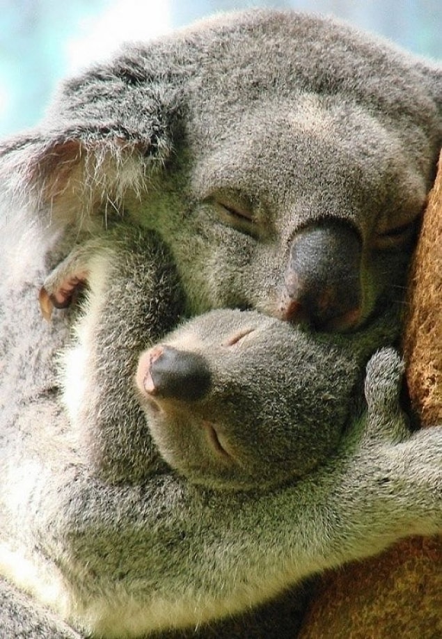 3. Love, briefly: