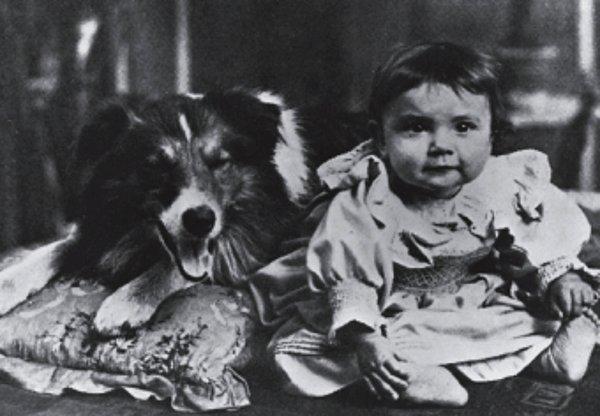 9. İlk hayvan film yıldızı Rover adlı köpek oldu. 'Rover Kurtarıyor' adlı bir filmin başrol oyuncusuydu. (1905)