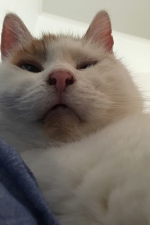 Bu miniğin kamera albümündeki fotoğraflar ise yeterince selfie çektiğinin kanıtı niteliğinde 😅