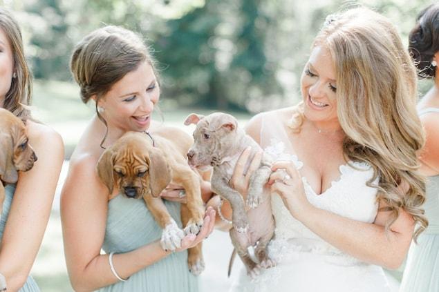 That was to bring cute puppies to their wedding! 😍
