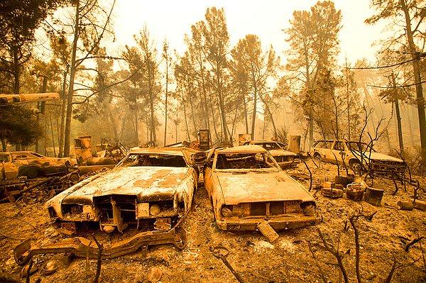 9. Kaliforniya'daki Loma Chiquita Yolu yangınından geriye kalan arabalar ve oluşturdukları manzara.