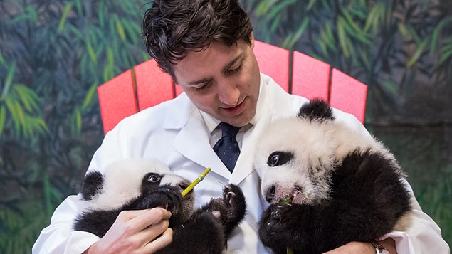 14. This photo, where Trudeau holds panda babies 🐼 🐼 🐼