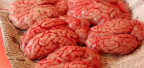 4. Обезьяньи мозги