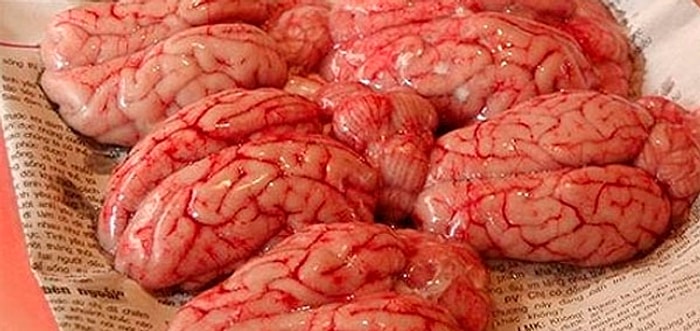 10 самых ужасных блюд в мире (часть 2)