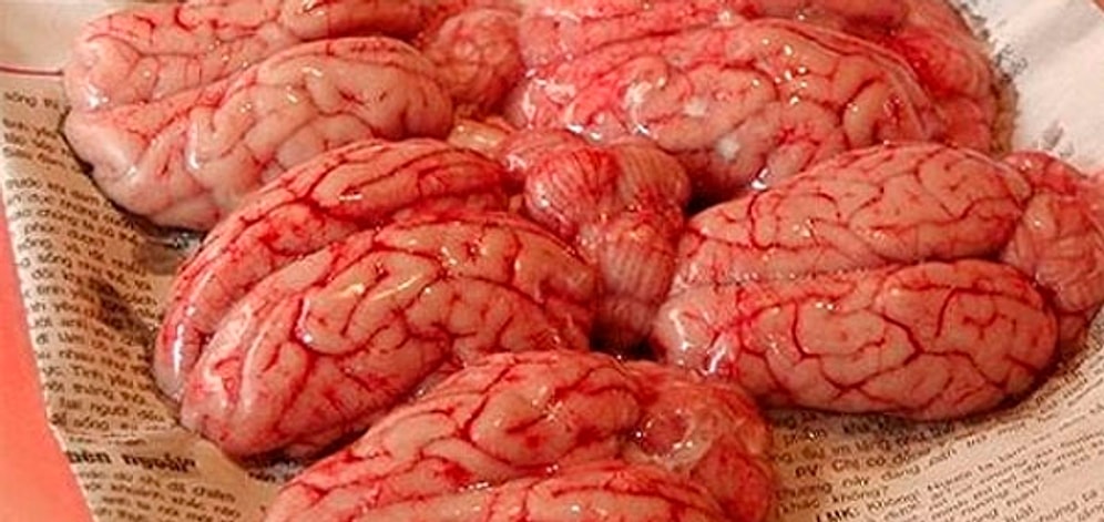 10 самых ужасных блюд в мире (часть 2)