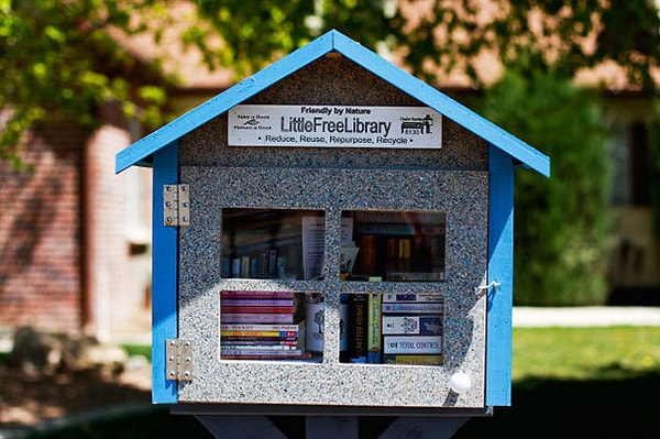 16. Воспитательница построила в своем дворе бесплатную мини-библиотеку, так как в ее городе нет другой