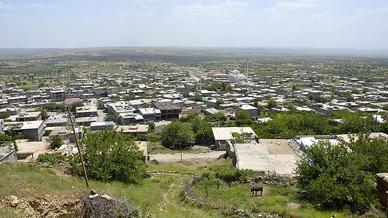 Hani Belediyesine Kayyum Atandı