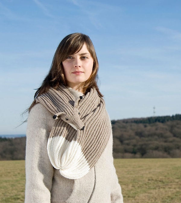 11. Серая лисица