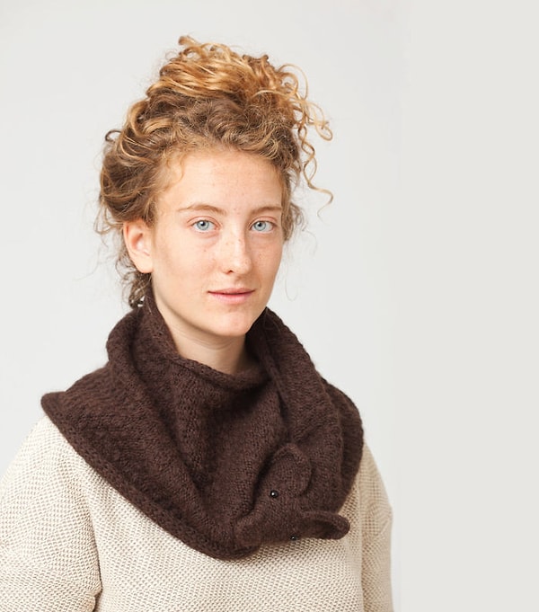 10. Коричневая лиса