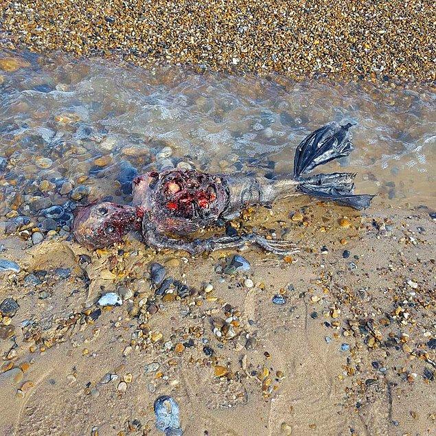 İngiltere'nin Great Yarmouth sahilinde bu görüntüleri kaydeden Paul Jones isimli genç bedenin denizkızına ait olduğunu iddia ediyor.