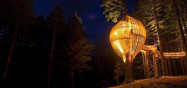 16. Redwoods Ağaç Evi, Yeni Zelanda