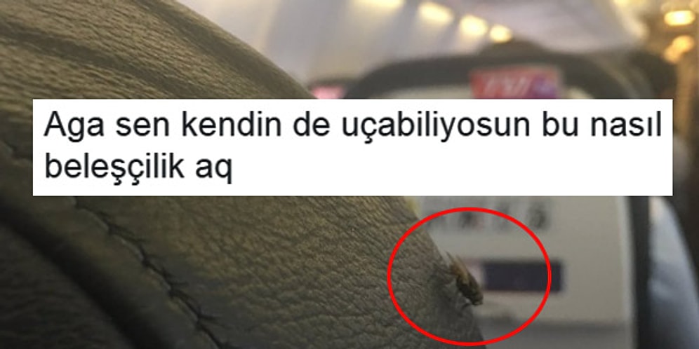 Okurken Modunuzu Ne Olduğunu Anlamadan Bir Anda Yükseltecek 18 Komik Tweet