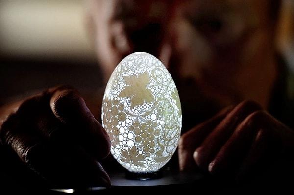 6. 20.000'den fazla deliği olan yumurta kabuğu