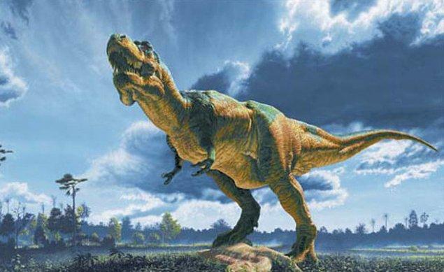 Dinozorun ayak izini araştıran araştırmacılar, dinozorun kaç kilo olduğu ve boyunun yüksekliğini de buldu.