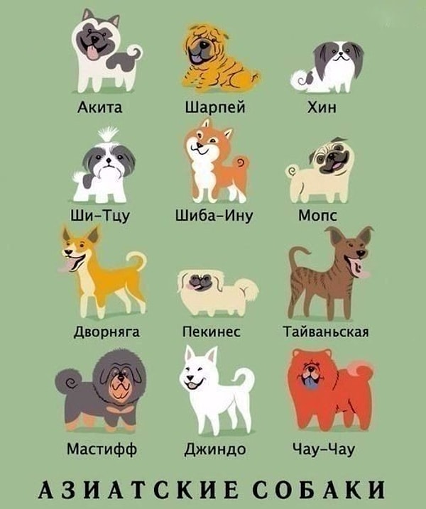 3. Азиатские