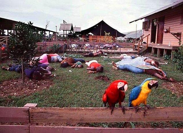 17. Halkın Tapınağı isimli tarikatta zehir içerek toplu intihar edenlerden birkaçı ve çitlerde yer alan iki Amerikan papağanı, 1978.