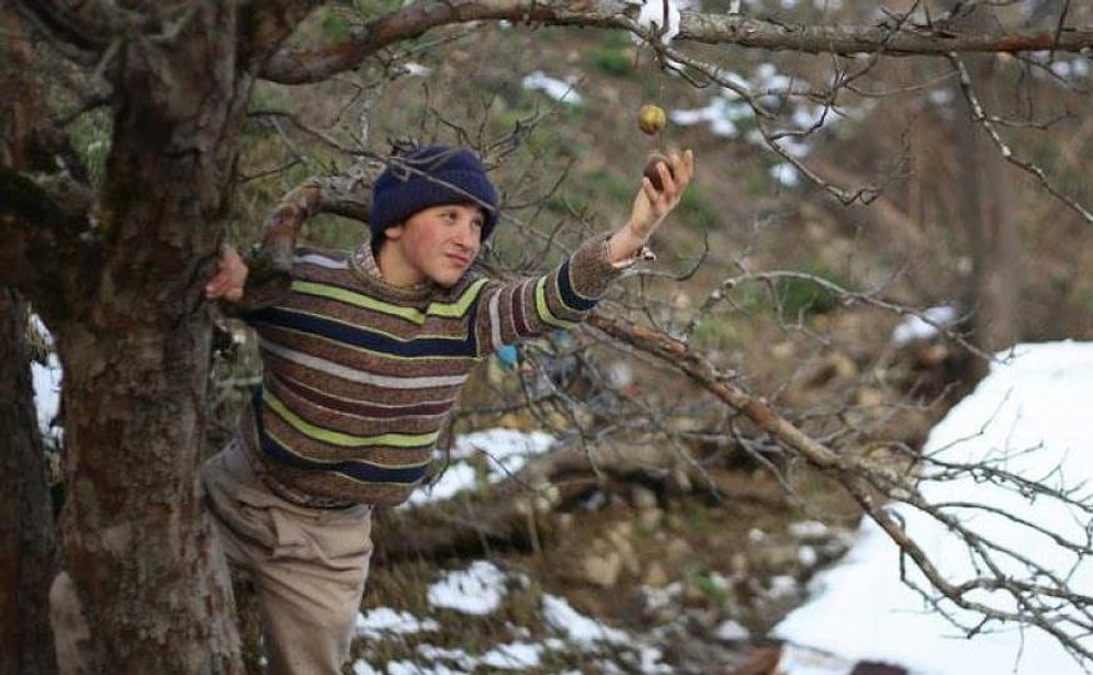 Oscar'da Türkiye'nin Adayı Kalandar Soğuğu Hamburg'dan Ödülle Döndü