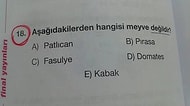 Saykolukta Yeni Boyut: Sınavda Öğrencilerin Ruhlarını Bedenlerinden Ayıracak 16 Soru