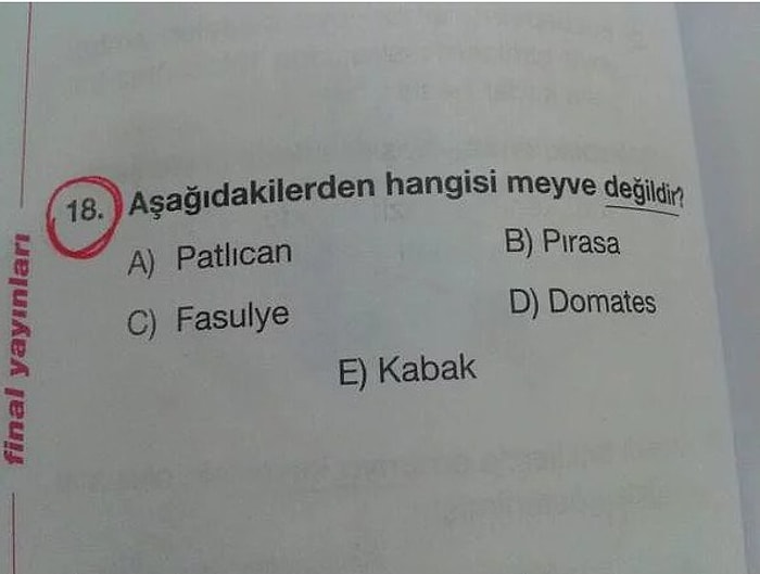 Saykolukta Yeni Boyut: Sınavda Öğrencilerin Ruhlarını Bedenlerinden Ayıracak 16 Soru