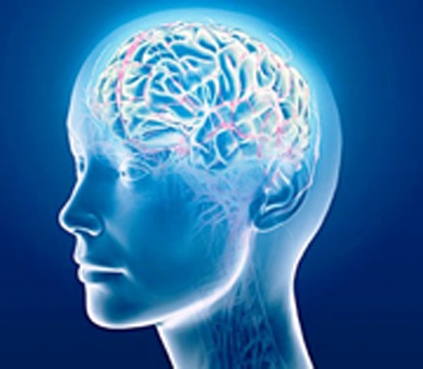 24. Кратковременная память не может запомнить и повторить больше 7 элементов