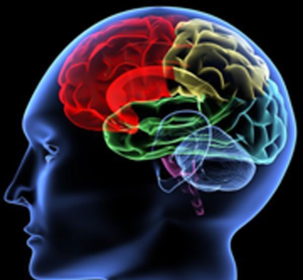 8. Повторение меняет ваш мозг на физическом уровне