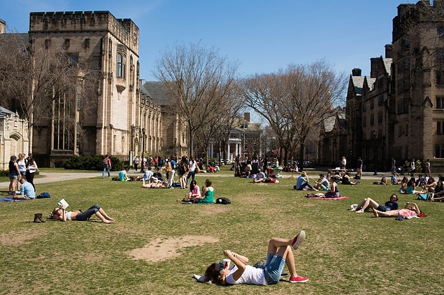 12. Yale Üniversitesi / Connecticut, ABD