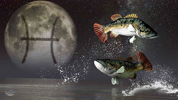 12. Рыбы – из-за его недостатка амбиций, тебе придется забыть о сексе