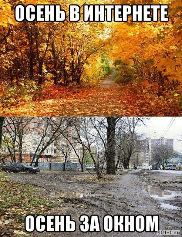 4. Суровая правда жизни