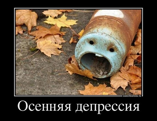 Осенние шутки за 300: На злобу дня