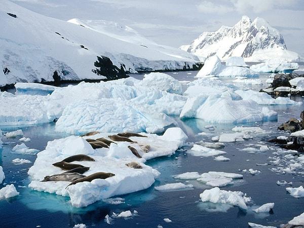 12. Dünya'daki tatlı suların %90'ı Antarktika'dadır.