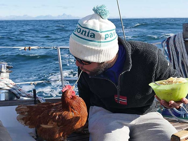 Soudée “Monique çok cesur. Rüzgâr çok sert olduğunda daha çok dikkat ediyorum, onu kapalı bir yere koyuyorum. Bir kedi ile yolculuğa çıkmak istemiştim, fakat bakımının zor olacağını düşündüm. Hem denizde yumurta da elde edebiliyorum” dedi.