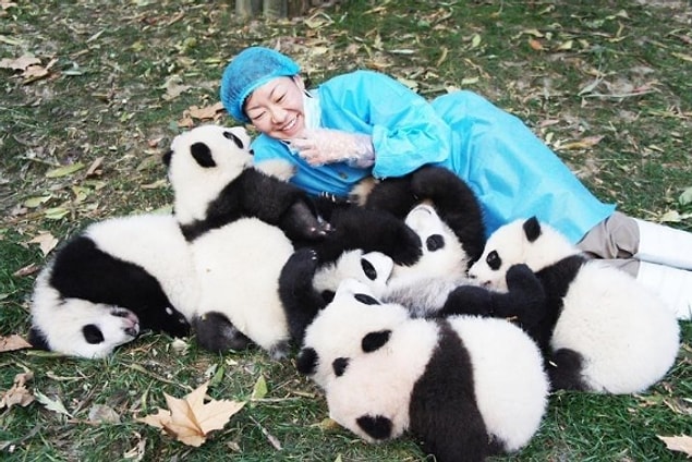 6. They always love their keepers!