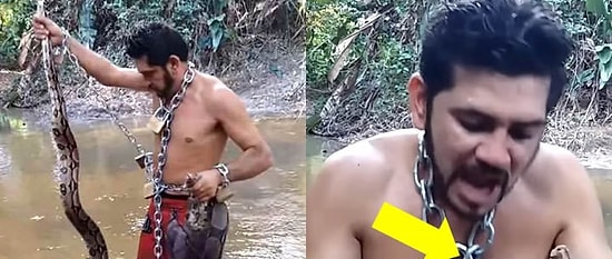 Canlı Örümceği Yemek Üzereyken Yılan Tarafından Saldırıya Uğrayan Zincirli Adam