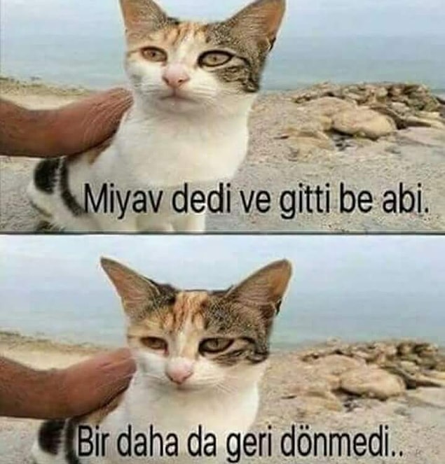 3. Miyav