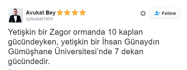 13.