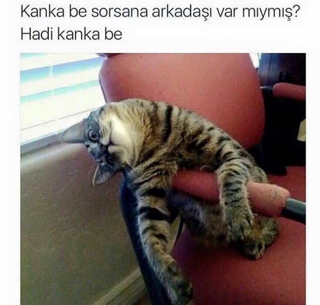 3.