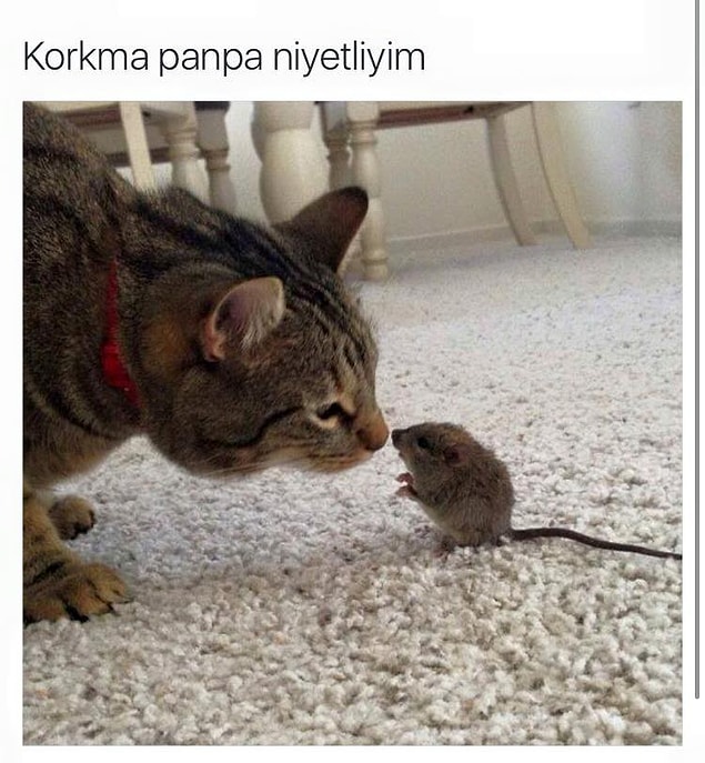7.