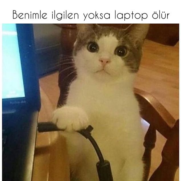 10.
