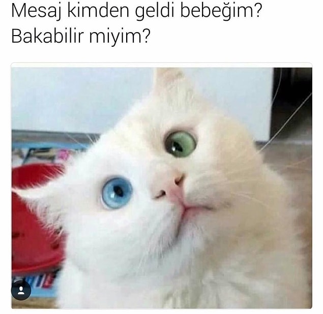 12.