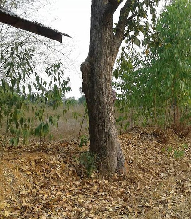 Toprağın altından çıkardığı bebeği zaman kaybetmeden hastaneye yetiştiren çoban 7 aylık çocuğun hayatta kalmasındaki en önemli hamleyi yaptı.