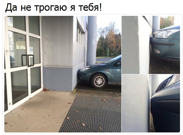 2. Не трогаю, не трогаю, успокойся!