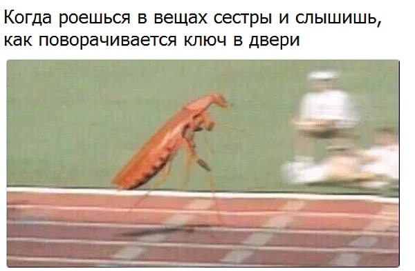 6. Бежаааать, срочно бежать!