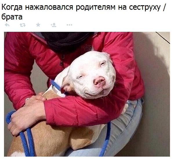 8. Эта сладкая месть