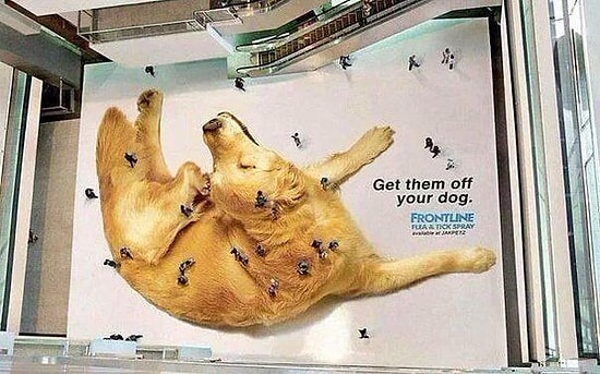 Вокруг света в поисках креативных идей