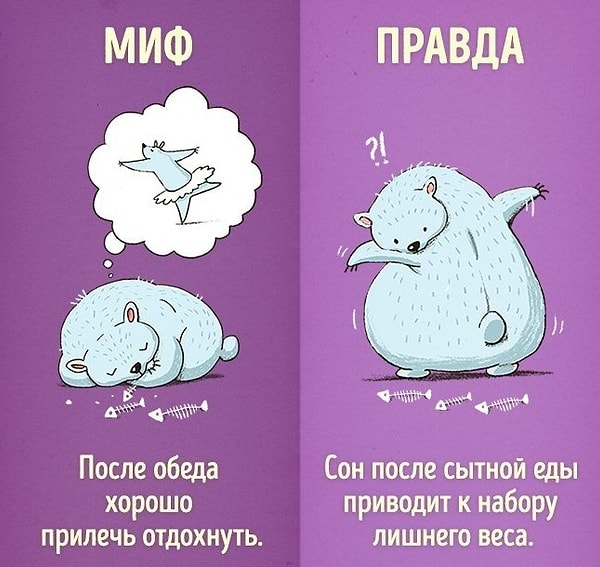 2. "После сытного обеда, по закону Архимеда..."