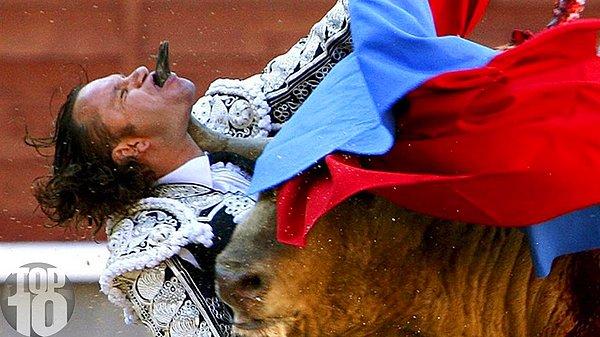 5. Çoğunlukla matadorlara ölümcül hasarlar vermemeleri için boynuzları törpülenir.