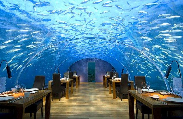 5. İthaa Denizaltı Restoranı - Alif Dhaal Atoll, Maldivler