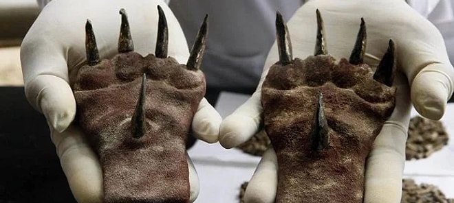 10 мрачных находок древности, которые точно заставят вас поежиться