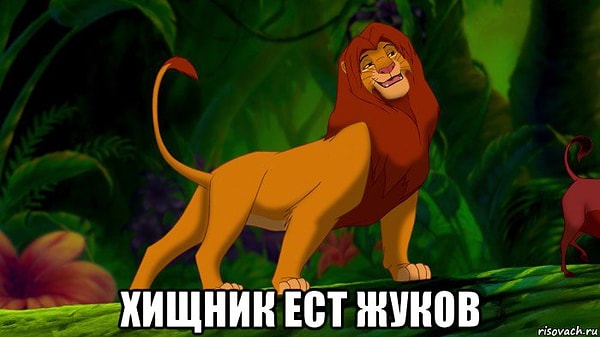 7. Вот такая пищевая цепочка